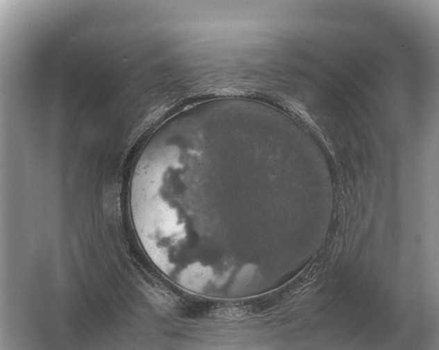 X0000064770299200602242004