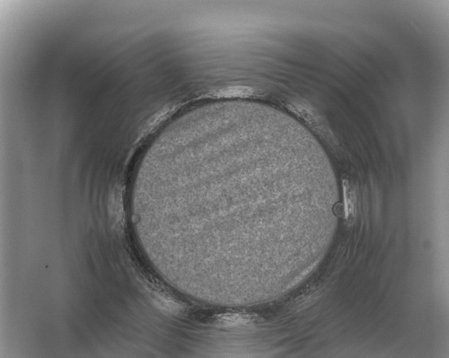 X0000064770300200602242004