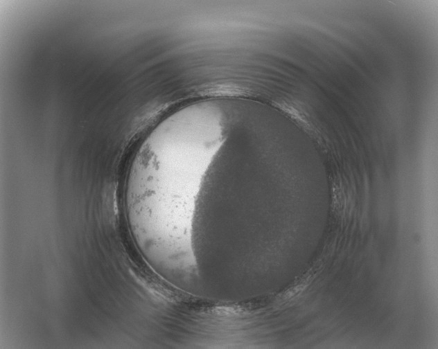 X0000064770302200602242004