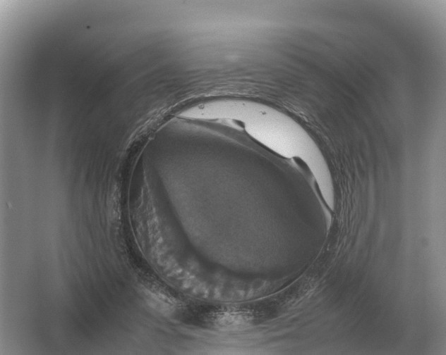 X0000064770303200602242004