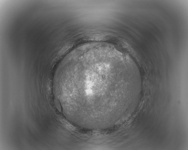 X0000064770305200602242004