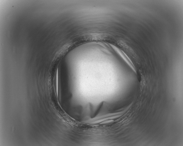 X0000064770306200602242004