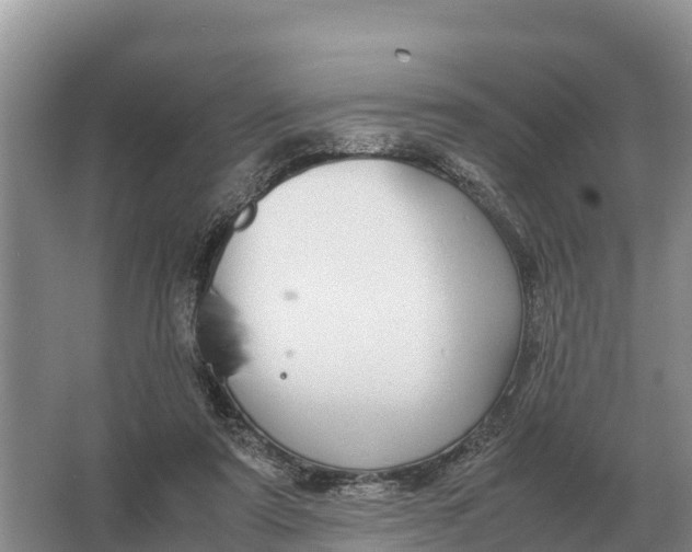 X0000064770307200602242004