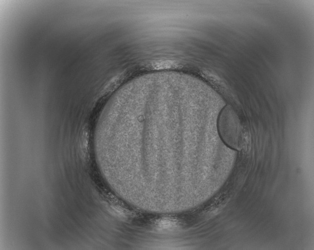 X0000064770308200602242004