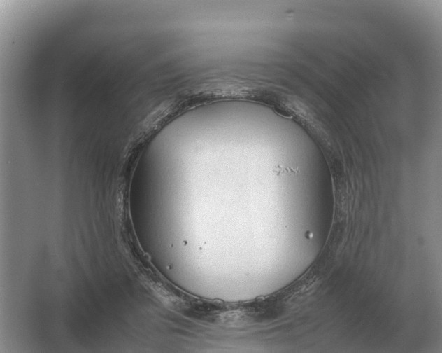 X0000064770309200602242004