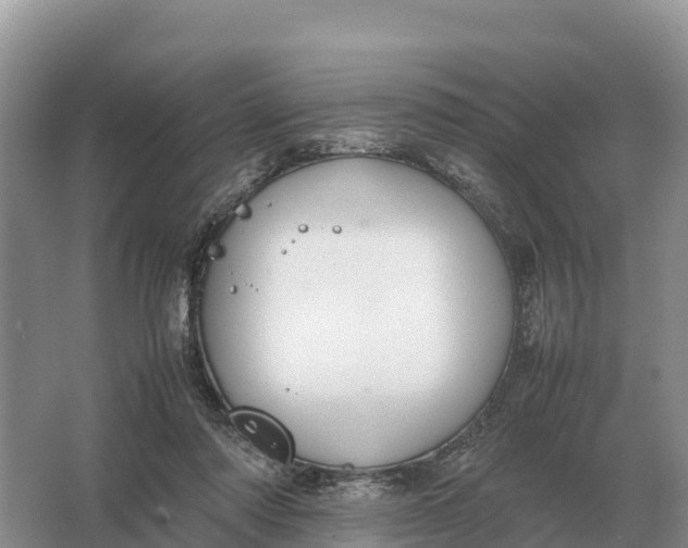 X0000064770310200602242004