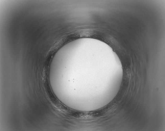 X0000064770311200602242004