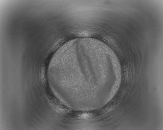 X0000064770312200602242004