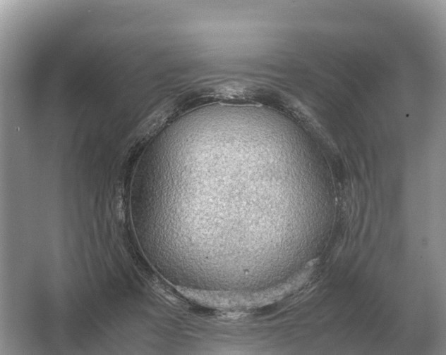 X0000064770313200602242004