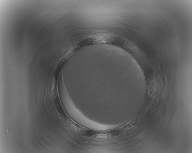 X0000064770314200602242004