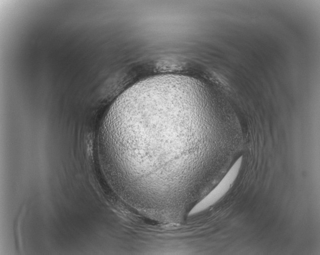 X0000064770315200602242004