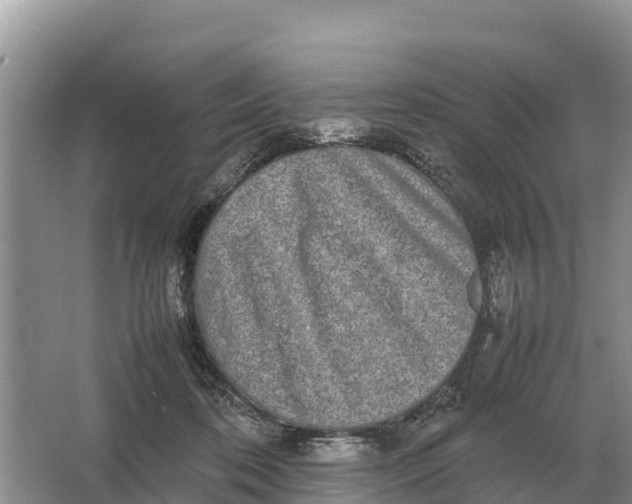 X0000064770316200602242004