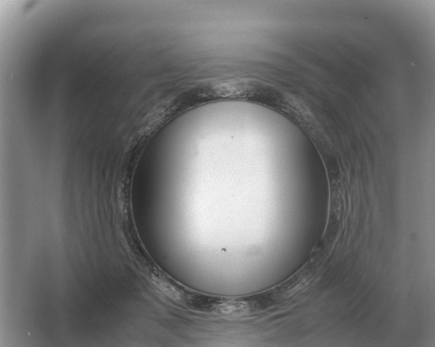 X0000064770317200602242004