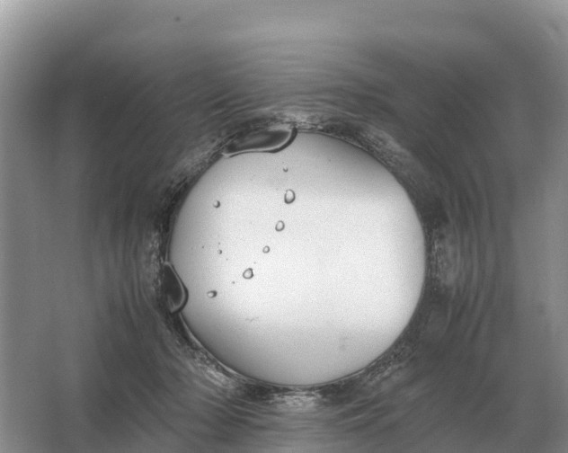 X0000064770318200602242004