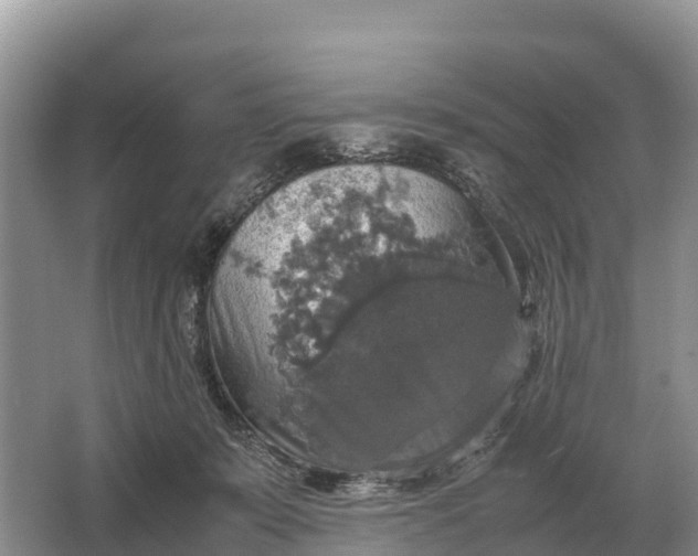 X0000064770319200602242004