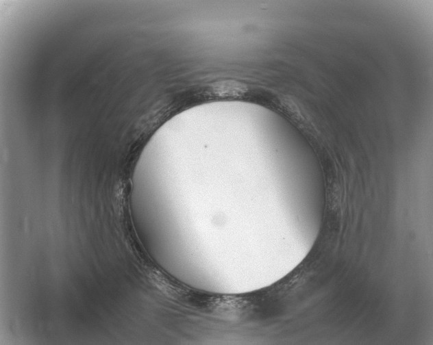 X0000064770321200602242004