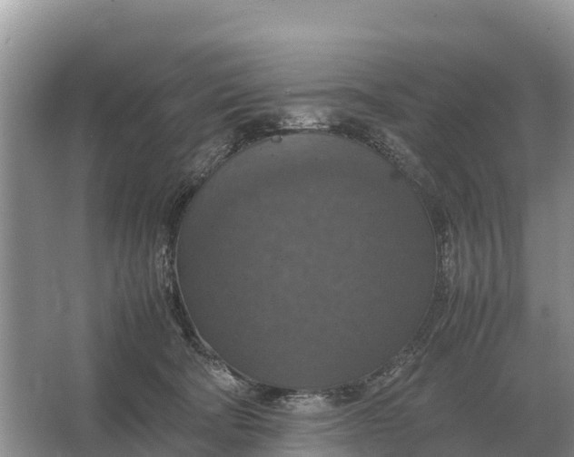 X0000064770322200602242004