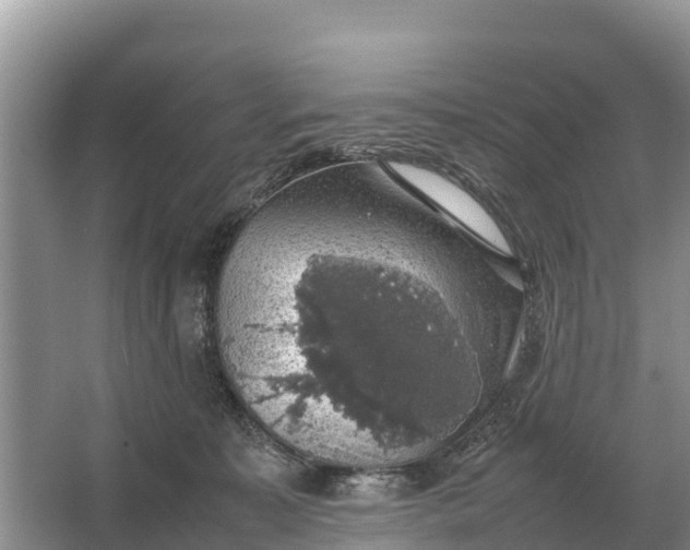 X0000064770323200602242003