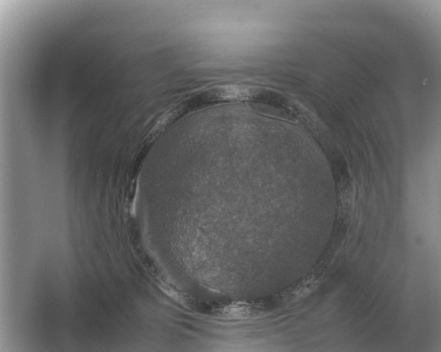 X0000064770325200602242003