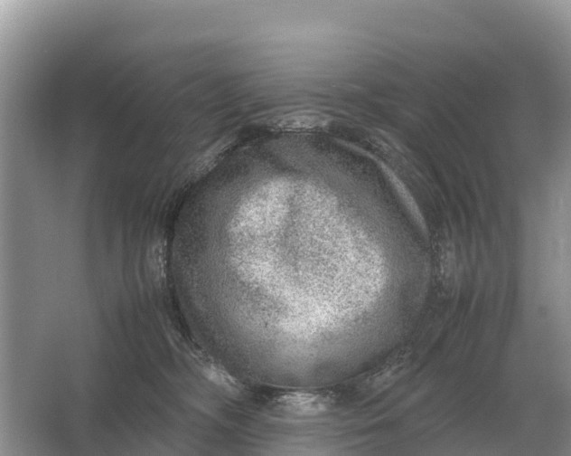 X0000064770326200602242003