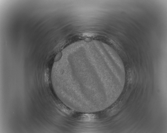 X0000064770328200602242003