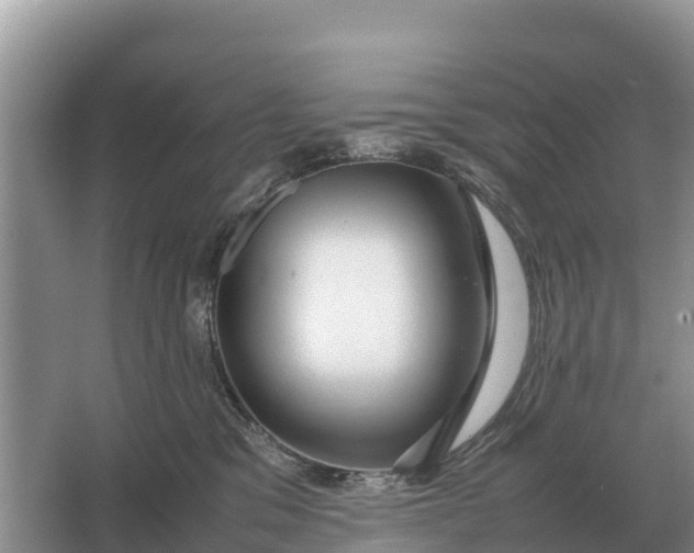 X0000064770329200602242003