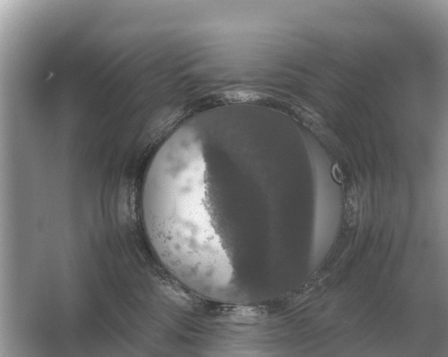 X0000064770330200602242003