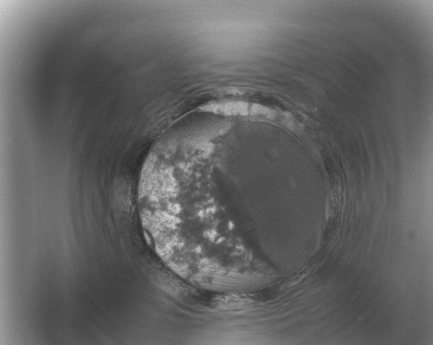 X0000064770331200602242003