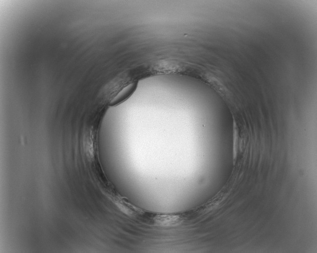 X0000064770334200602242003