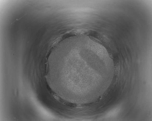 X0000064770335200602242003