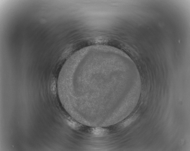 X0000064770336200602242003