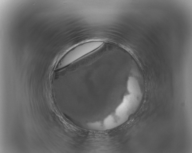 X0000064770337200602242002