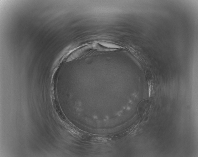 X0000064770339200602242002