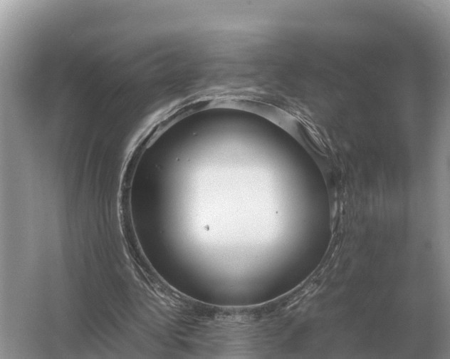 X0000064770340200602242002