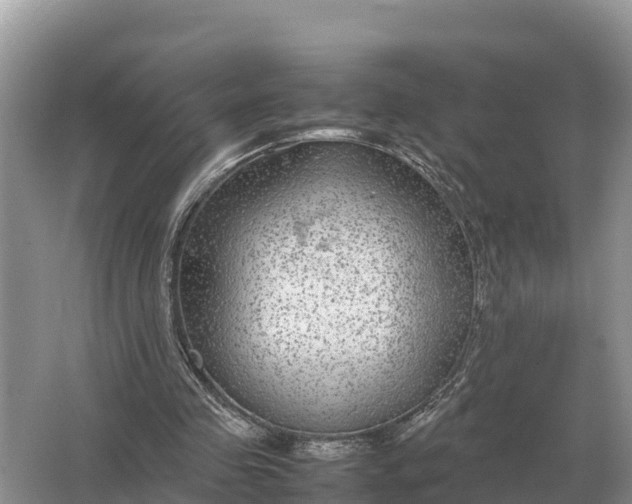 X0000064770341200602242002