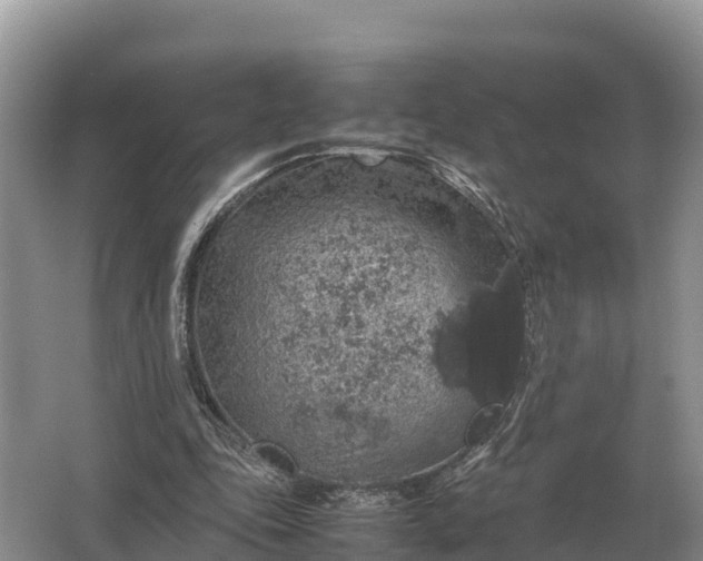 X0000064770343200602242002