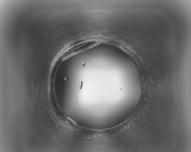 X0000064770344200602242002