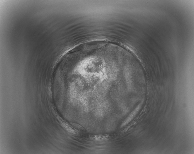 X0000064770345200602242002