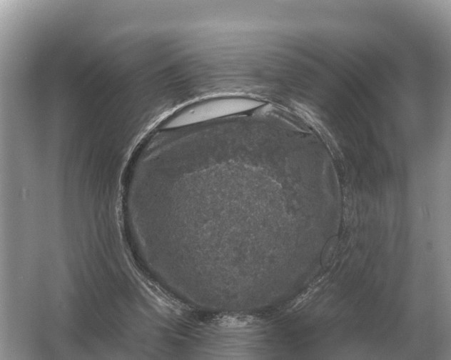 X0000064770346200602242002