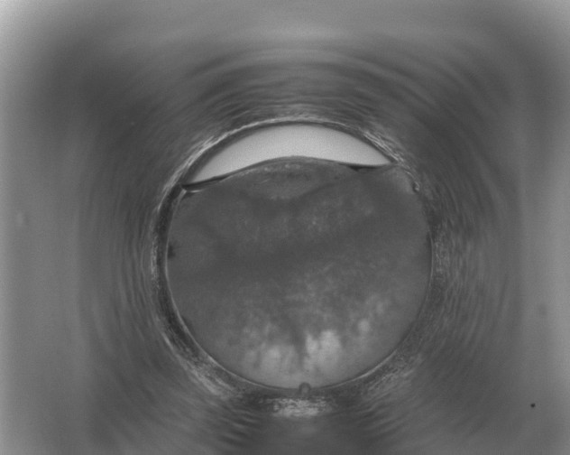 X0000064770347200602242002