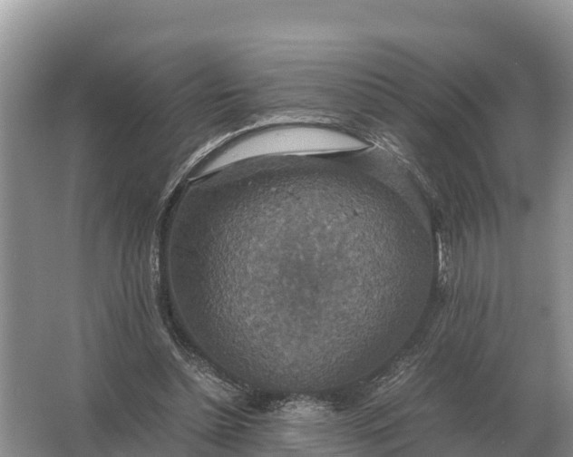 X0000064770348200602242002