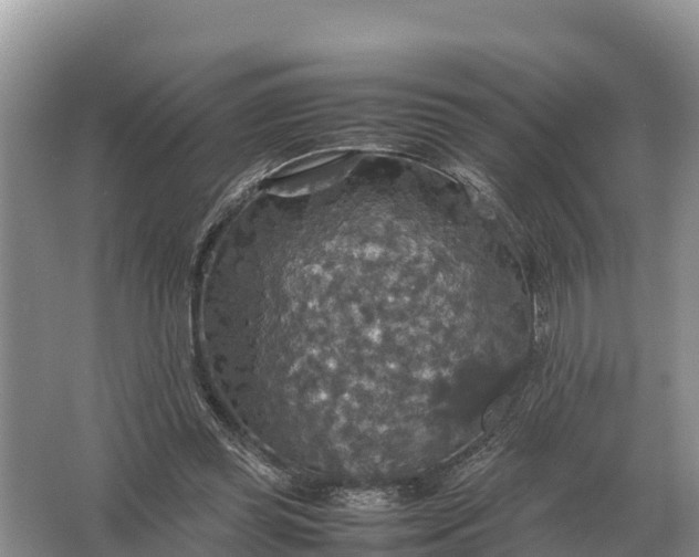 X0000064770349200602242002