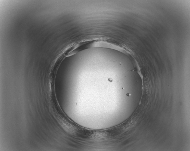 X0000064770350200602242002