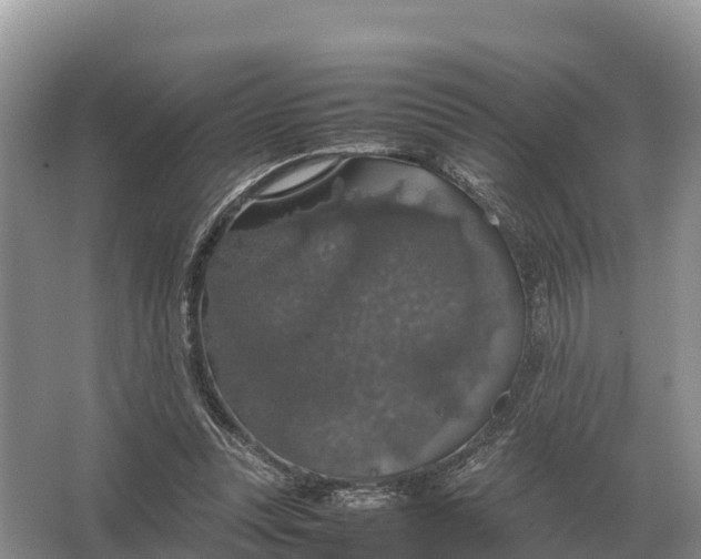 X0000064770351200602242002