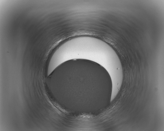 X0000064770352200602242002