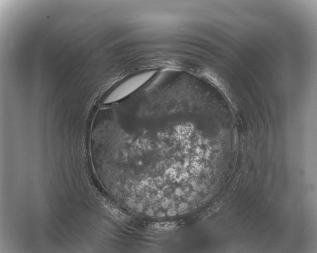 X0000064770353200602242002