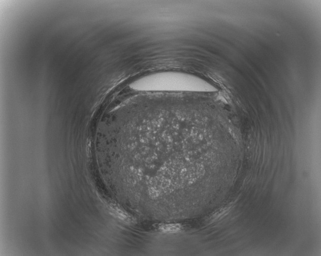 X0000064770355200602242002