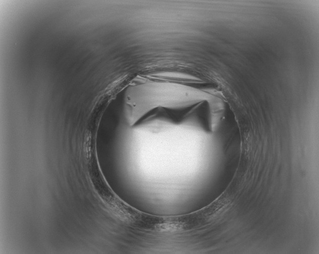 X0000064770356200602242002