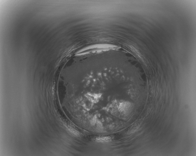 X0000064770357200602242002