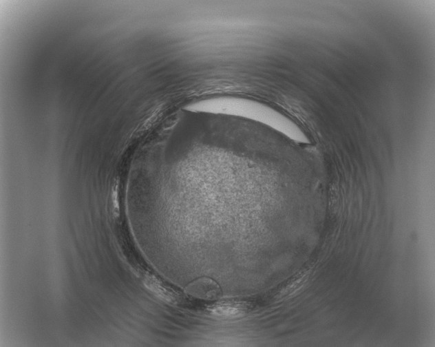 X0000064770358200602242002